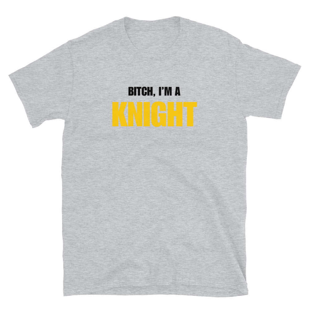 Bitch, I'm A Knight