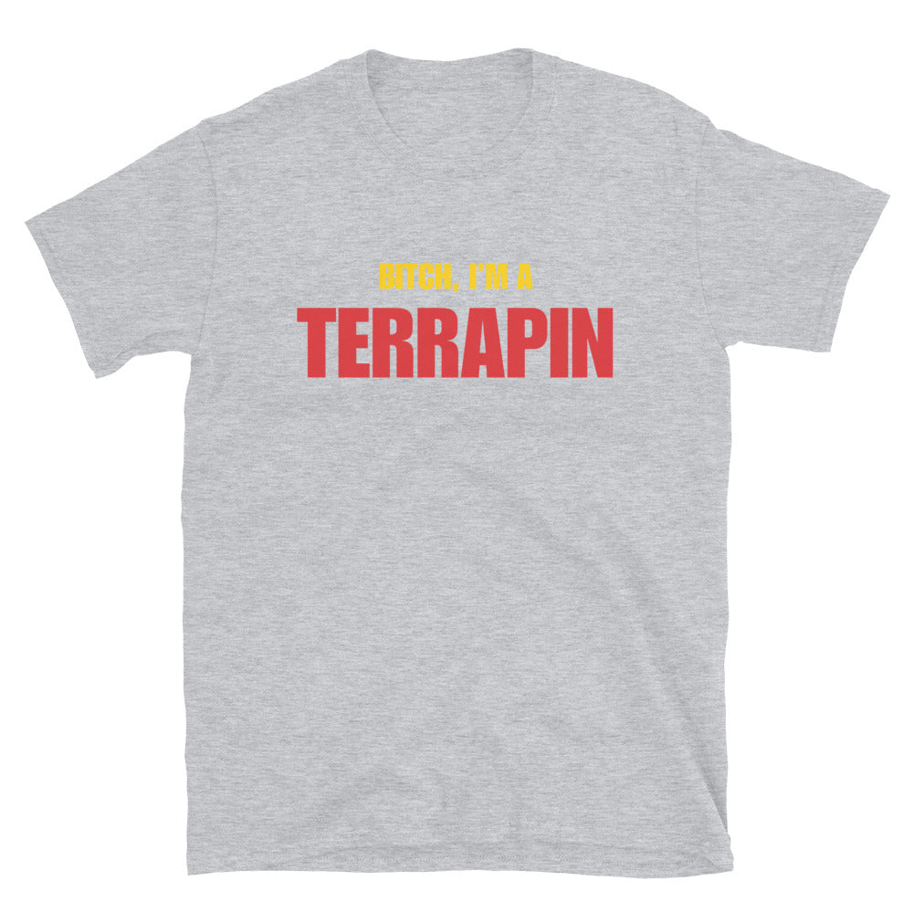 Bitch, I'm A Terrapin
