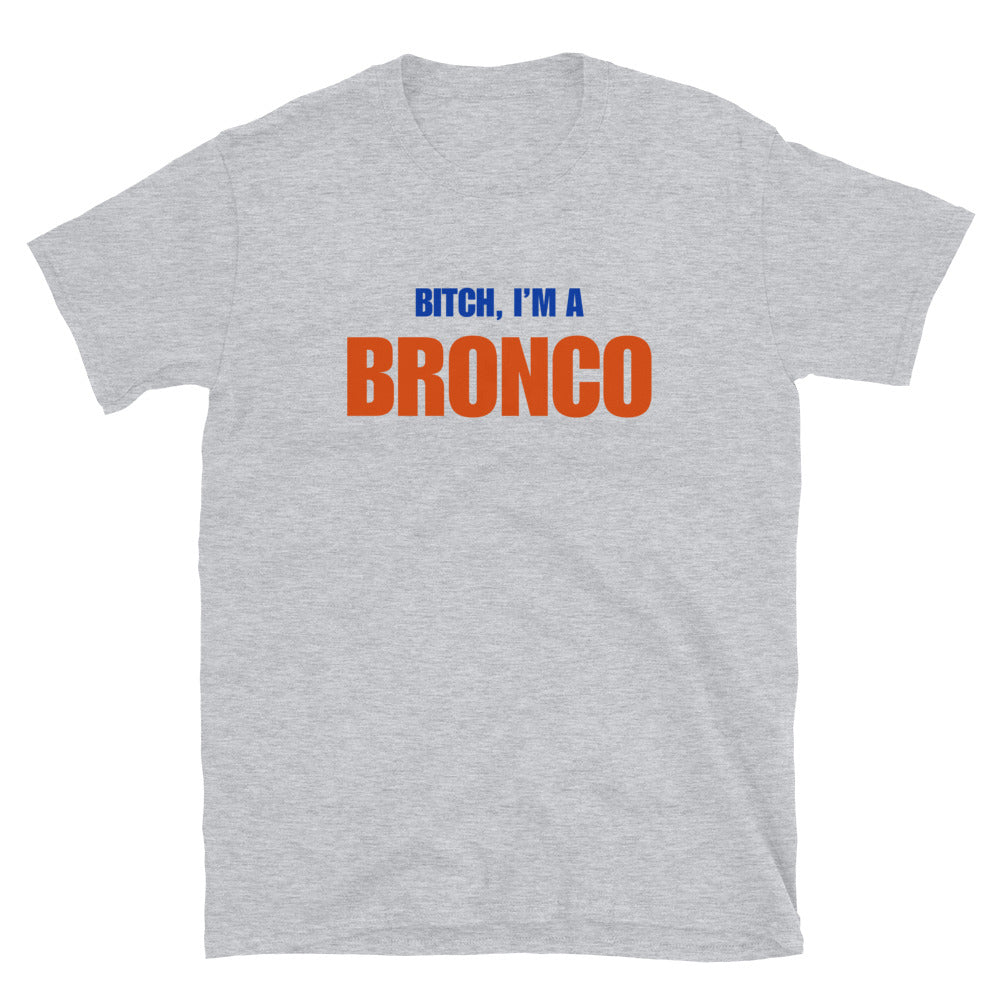 Bitch, I'm A Bronco
