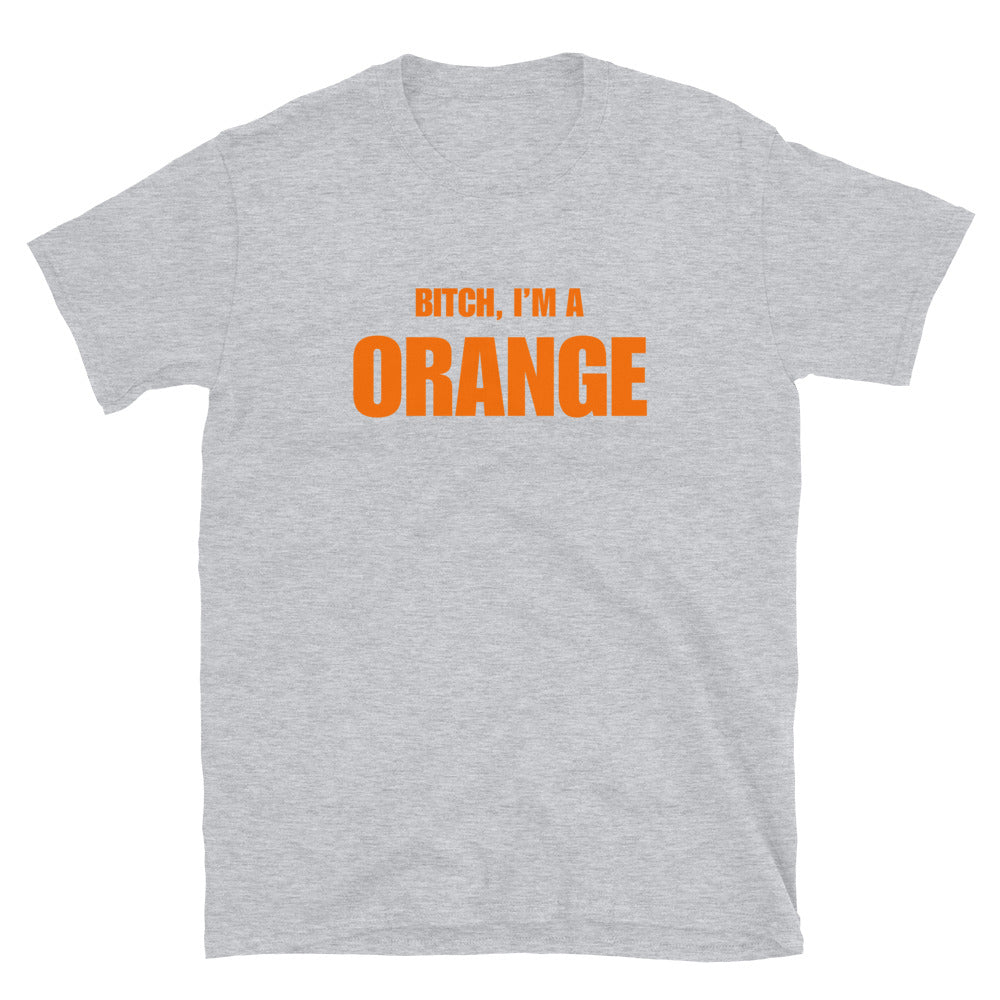Bitch, I'm A Orange