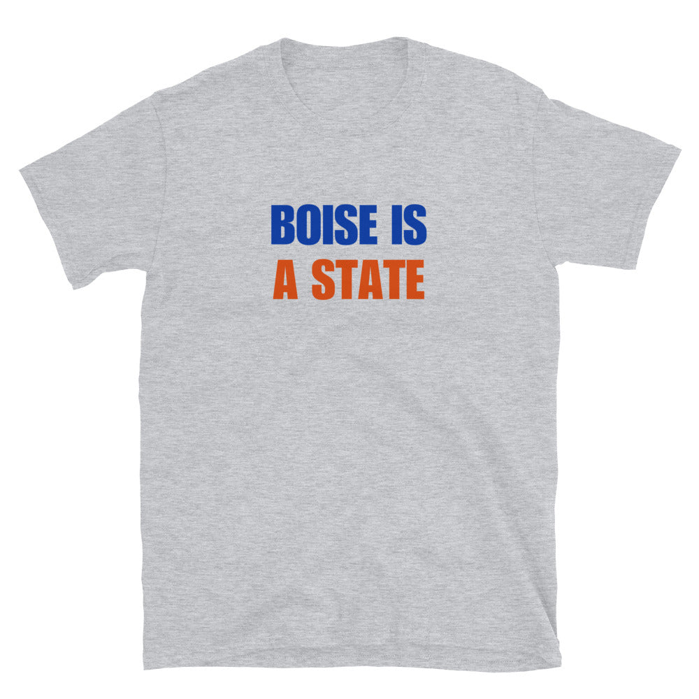 Boise Is A State