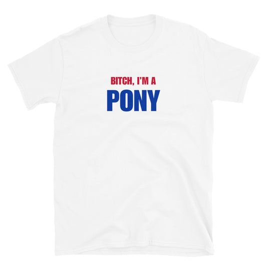 Bitch, I'm A Pony