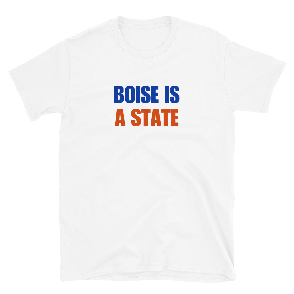 Boise Is A State